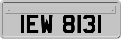 IEW8131
