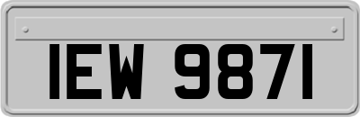 IEW9871