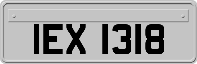 IEX1318
