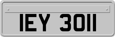 IEY3011