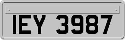 IEY3987