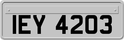 IEY4203