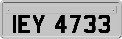 IEY4733