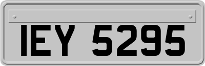 IEY5295