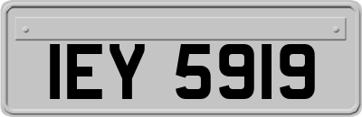 IEY5919