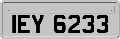 IEY6233