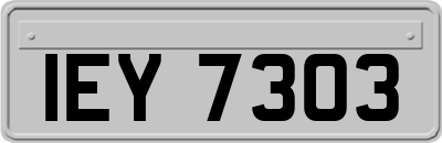 IEY7303
