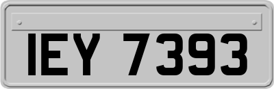 IEY7393