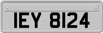 IEY8124