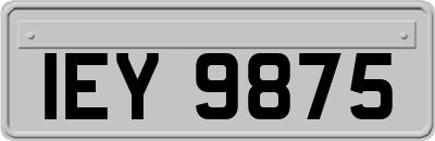 IEY9875