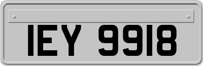 IEY9918