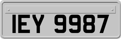 IEY9987