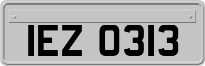 IEZ0313