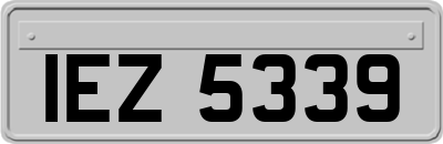IEZ5339