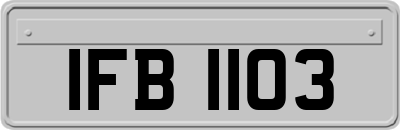 IFB1103