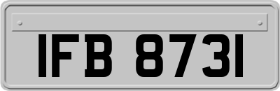 IFB8731