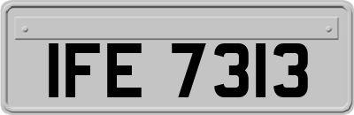 IFE7313