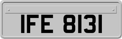 IFE8131