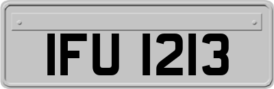 IFU1213