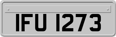 IFU1273