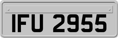 IFU2955