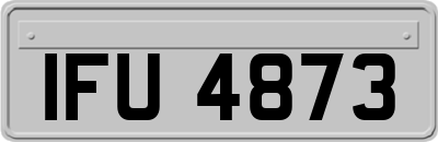 IFU4873