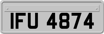 IFU4874