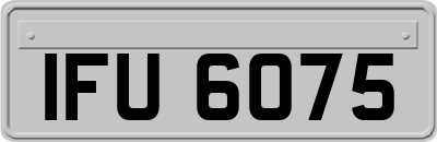 IFU6075