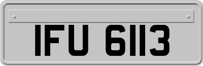 IFU6113