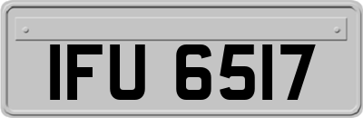IFU6517