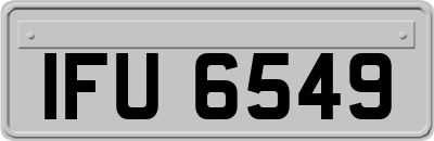 IFU6549