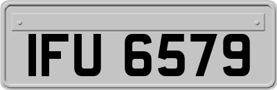 IFU6579