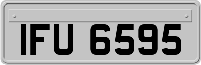 IFU6595
