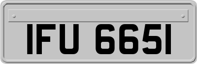 IFU6651