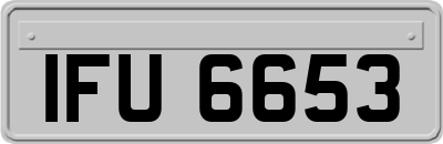 IFU6653
