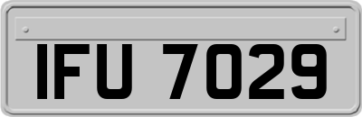 IFU7029