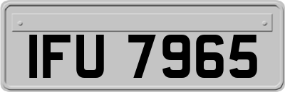 IFU7965