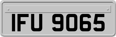 IFU9065