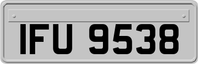 IFU9538