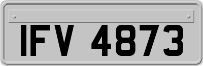 IFV4873