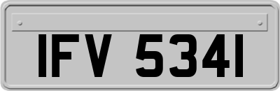 IFV5341