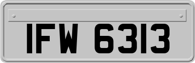 IFW6313