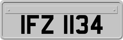 IFZ1134