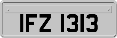 IFZ1313