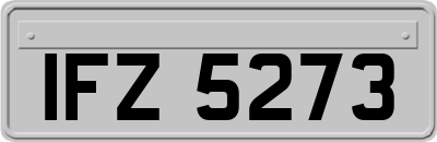 IFZ5273