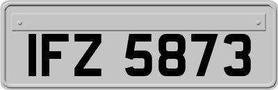 IFZ5873