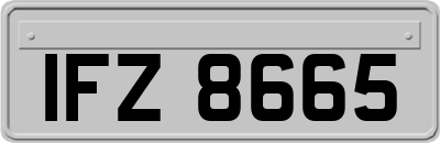 IFZ8665