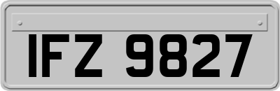 IFZ9827