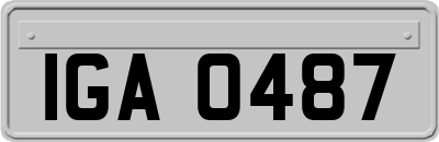 IGA0487