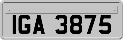 IGA3875